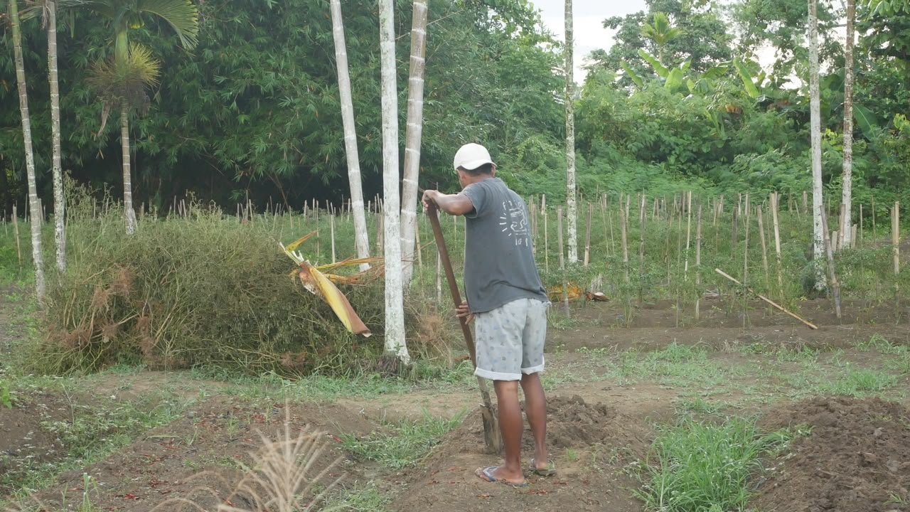 Galeri Kampung